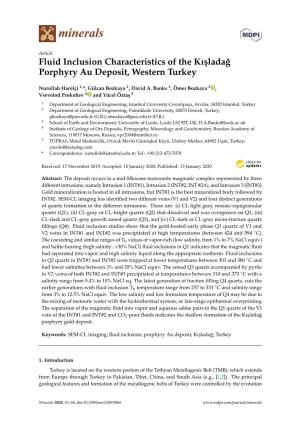 Fluid Inclusion Characteristics of the Kıslada˘G Porphyry Au Deposit