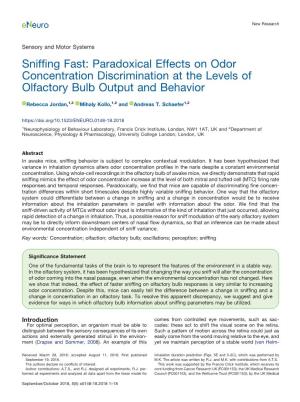 Sniffing Fast: Paradoxical Effects on Odor Concentration Discrimination at the Levels of Olfactory Bulb Output and Behavior