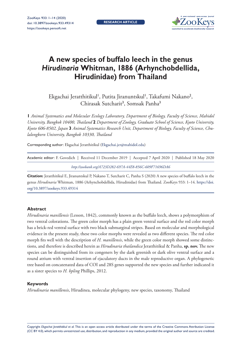 A New Species of Buffalo Leech in the Genus Hirudinaria Whitman, 1886 (Arhynchobdellida, Hirudinidae) from Thailand