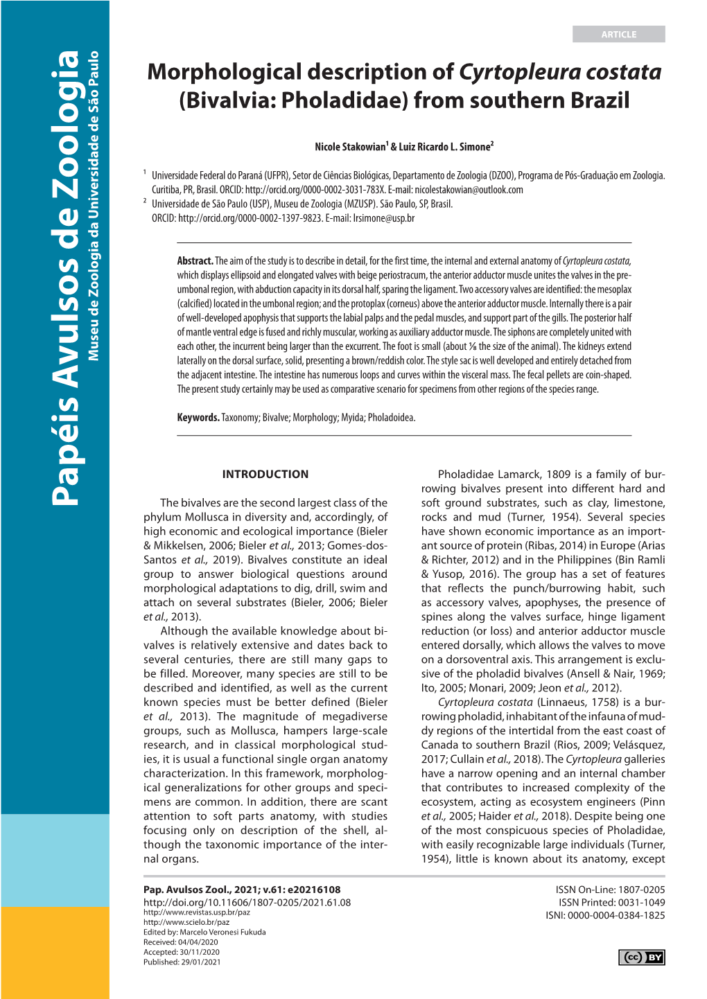 Morphological Description of Cyrtopleura Costata (Bivalvia: Pholadidae) from Southern Brazil