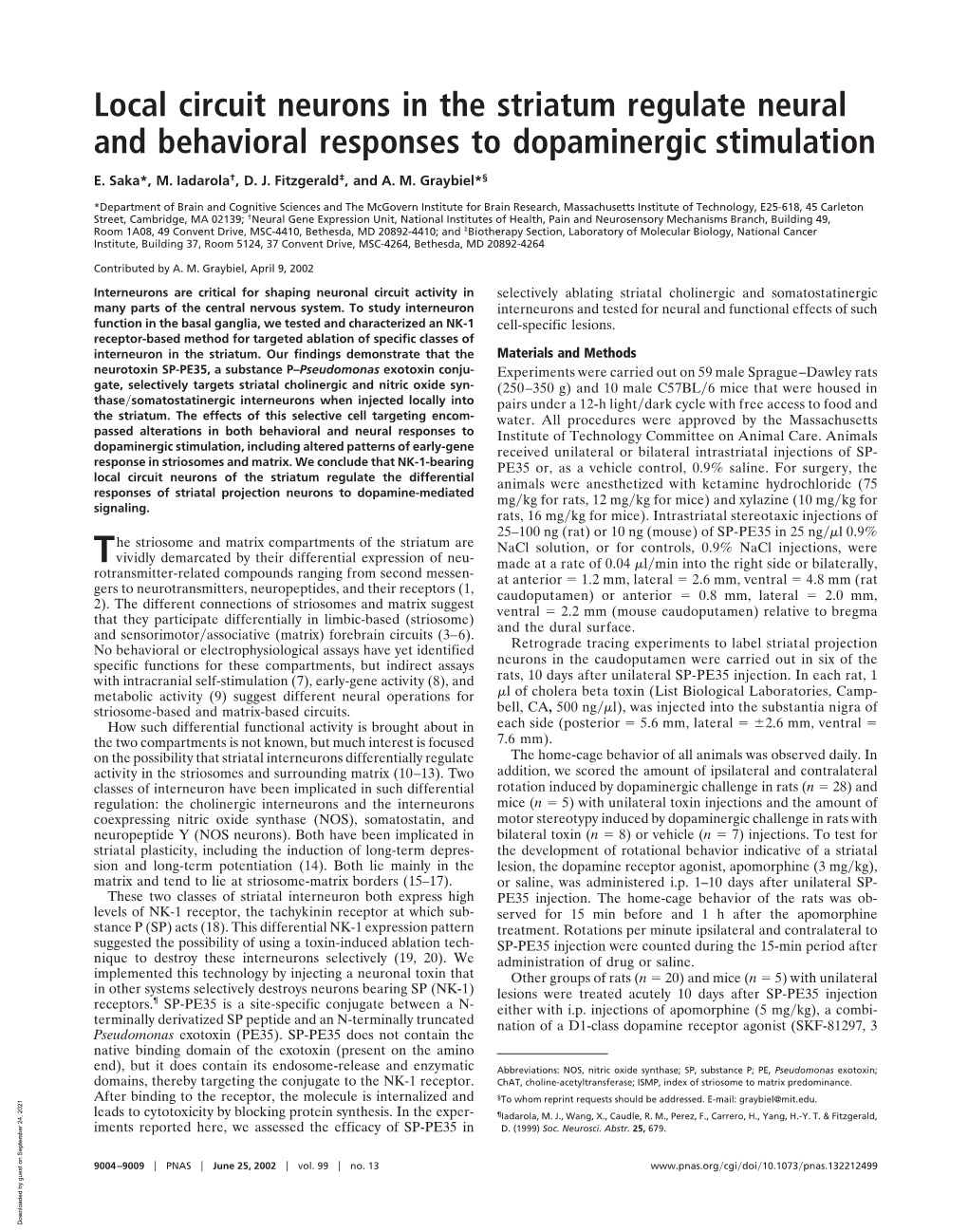 Local Circuit Neurons in the Striatum Regulate Neural and Behavioral Responses to Dopaminergic Stimulation