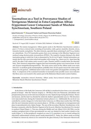 Tourmalines As a Tool in Provenance Studies of Terrigenous Material in Extra-Carpathian Albian (Uppermost Lower Cretaceous) Sand