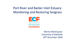 Port River and Barker Inlet Estuary: Monitoring and Restoring Seagrass