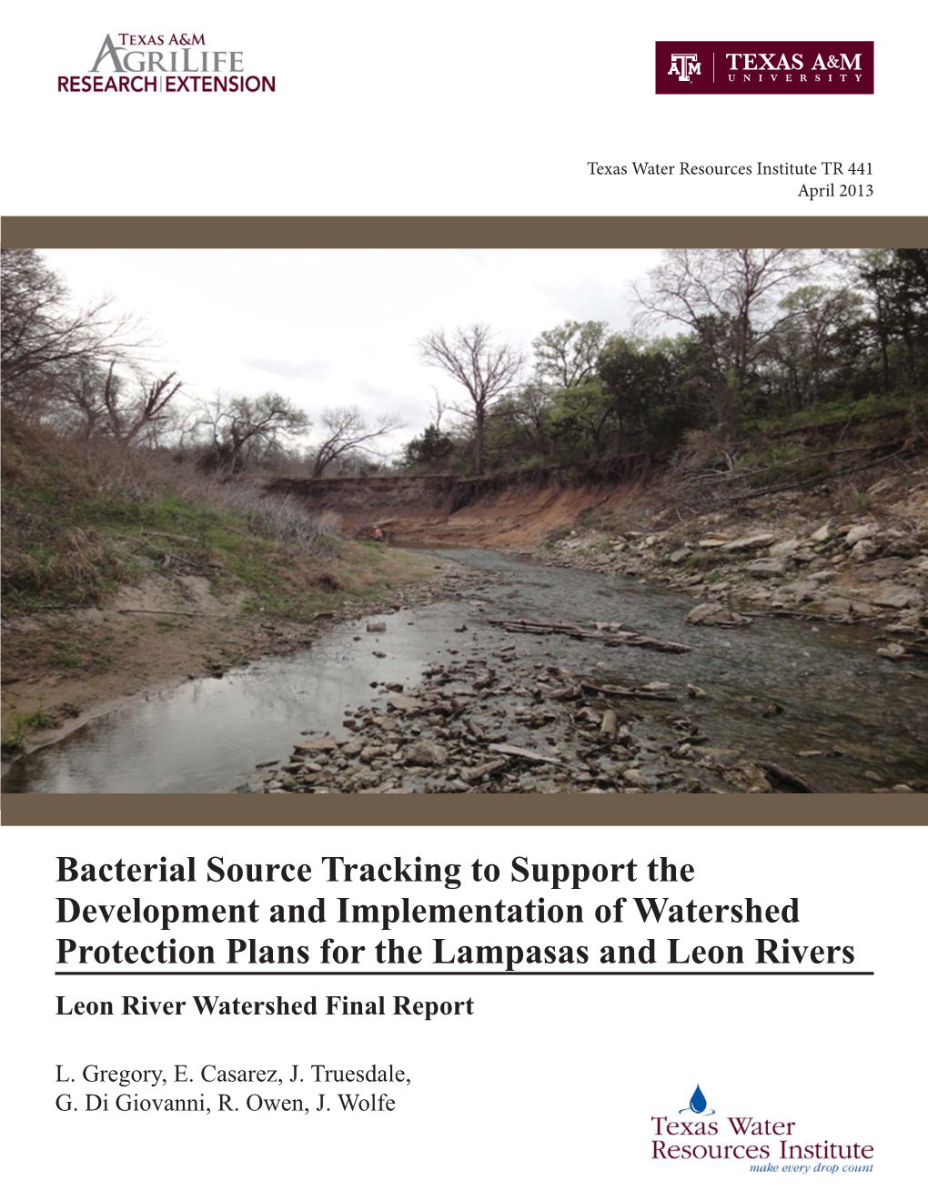 Leon River Watershed Final Report