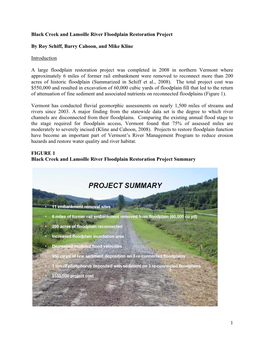 Black Creek and Lamoille River Floodplain Restoration Project