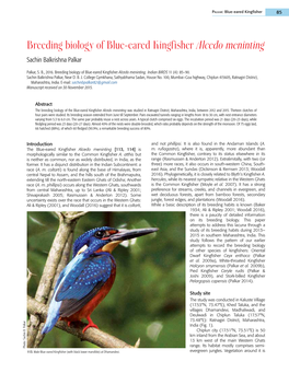 Breeding Biology of Blue-Eared Kingfisher Alcedo Meninting Sachin Balkrishna Palkar