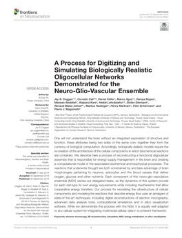 A Process for Digitizing and Simulating Biologically Realistic Oligocellular Networks Demonstrated for the Neuro-Glio-Vascular Ensemble Edited By: Yu-Guo Yu, Jay S