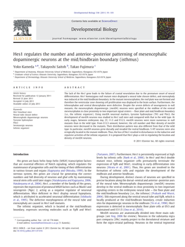 Hes1 Regulates the Number and Anterior–Posterior Patterning of Mesencephalic Dopaminergic Neurons at the Mid/Hindbrain Boundary (Isthmus)