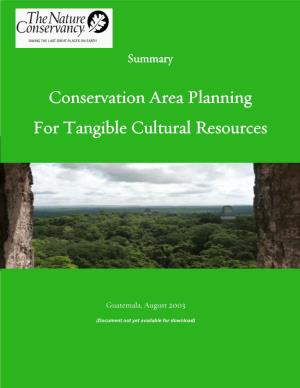 Conservation Area Planning for Tangible Cultural Resources-Working Document