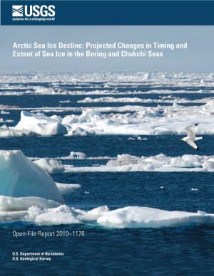 Arctic Sea Ice Decline: Projected Changes in Timing and Extent of Sea Ice in the Bering and Chukchi Seas