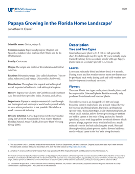 Papaya Growing in the Florida Home Landscape1 Jonathan H
