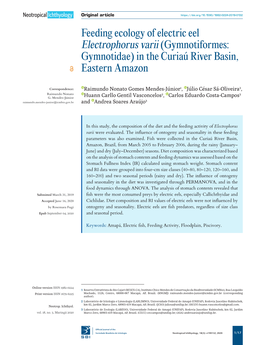 Feeding Ecology of Electric Eel Electrophorus Varii (Gymnotiformes: Gymnotidae) in the Curiaú River Basin, Eastern Amazon