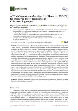 A Wild Cajanus Scarabaeoides (L.), Thouars, IBS 3471, for Improved Insect-Resistance in Cultivated Pigeonpea
