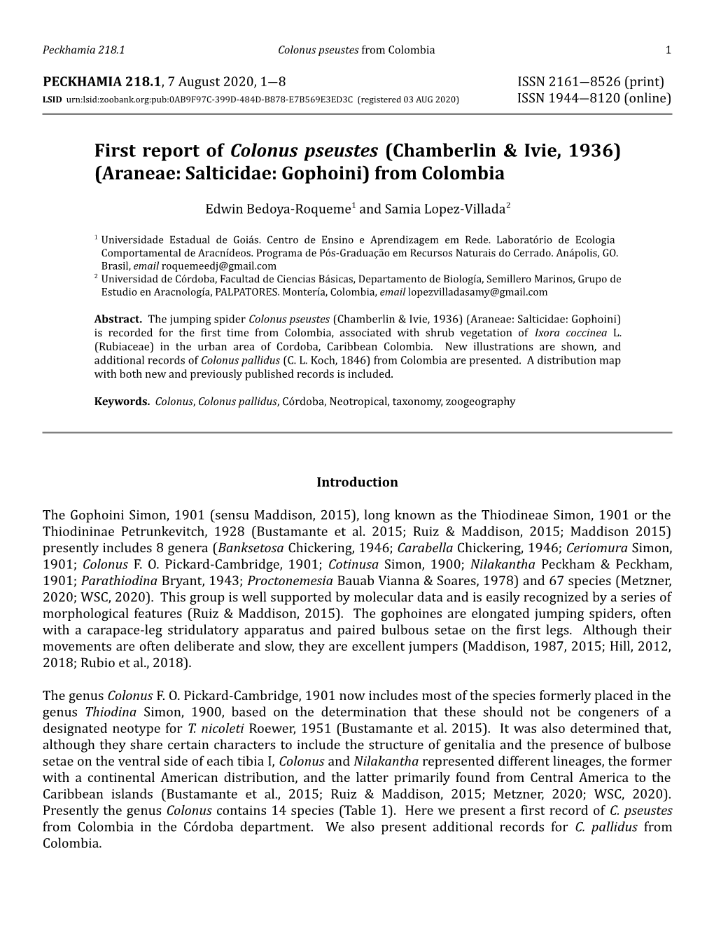 First Report of Colonus Pseustes (Chamberlin & Ivie