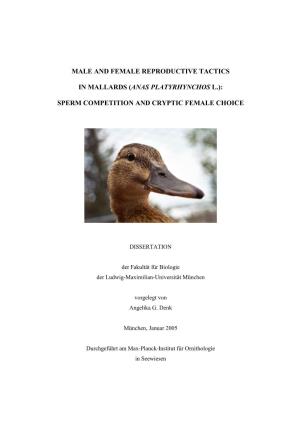 Male and Female Reproductive Tactics in Mallards (Anas Platyrhynchos L