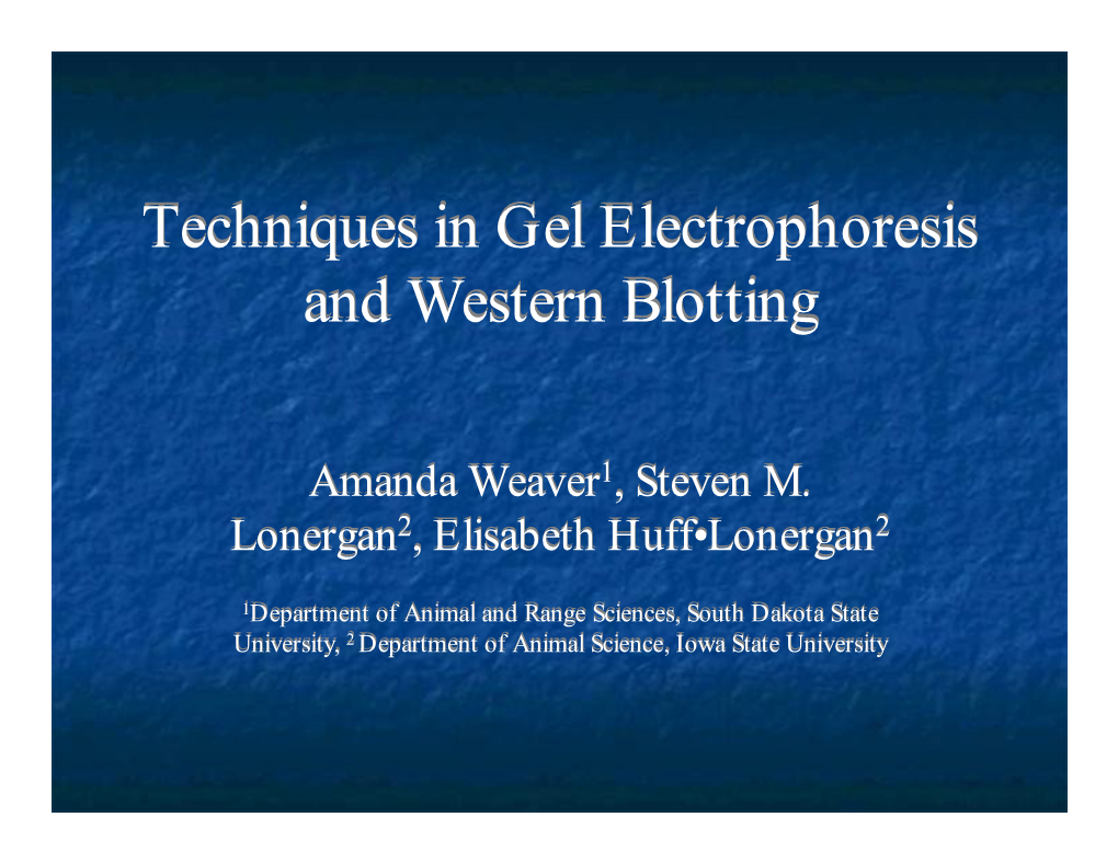 Techniques in Gel Electrophoresis and Western Blotting Techniques In