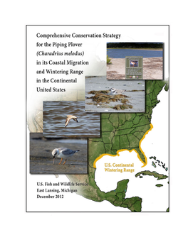 Piping Plover Comprehensive Conservation Strategy
