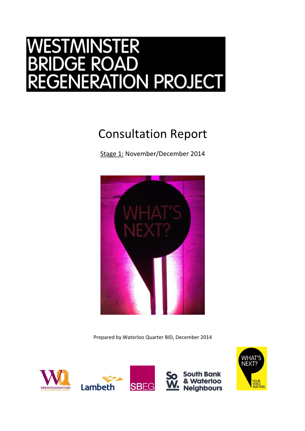 Consultation Report