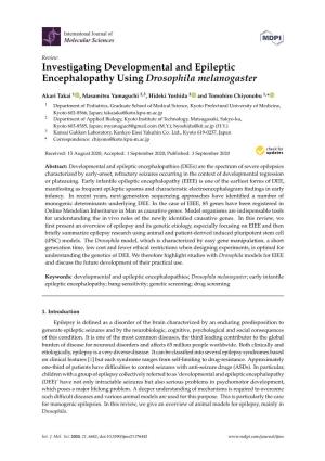 Investigating Developmental and Epileptic Encephalopathy Using Drosophila Melanogaster