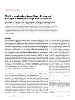 The Uromodulin Gene Locus Shows Evidence of Pathogen Adaptation Through Human Evolution