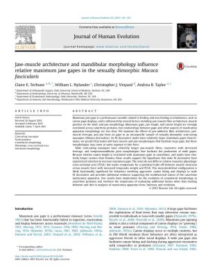 Jaw-Muscle Architecture and Mandibular Morphology Influence Relative Maximum Jaw Gapes in the Sexually Dimorphic Macaca Fascicul