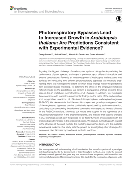 Photorespiratory Bypasses Lead to Increased Growth in Arabidopsis Thaliana: Are Predictions Consistent with Experimental Evidence?