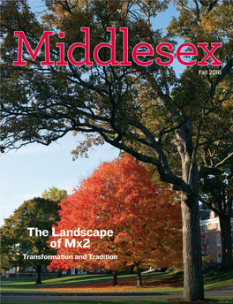 The Landscape of Mx2 Transformation and Tradition