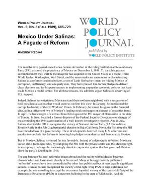 Mexico Under Salinas: a Façade of Reform