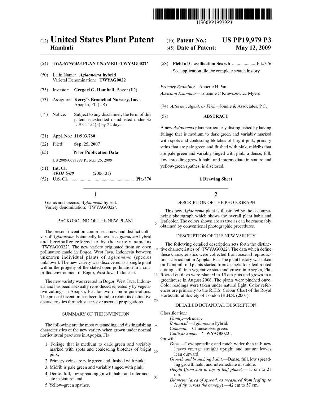 (12) United States Plant Patent (10) Patent No.: US PP19,979 P3 Hambali (45) Date of Patent: May 12, 2009