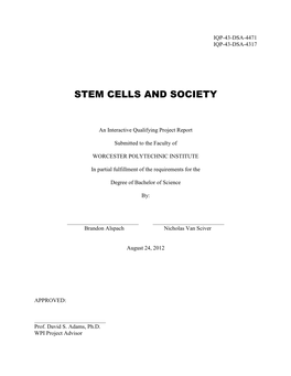 Stem Cells and Society