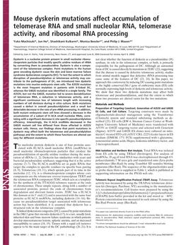 Mouse Dyskerin Mutations Affect Accumulation of Telomerase RNA and Small Nucleolar RNA, Telomerase Activity, and Ribosomal RNA Processing