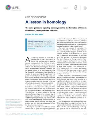 A Lesson in Homology