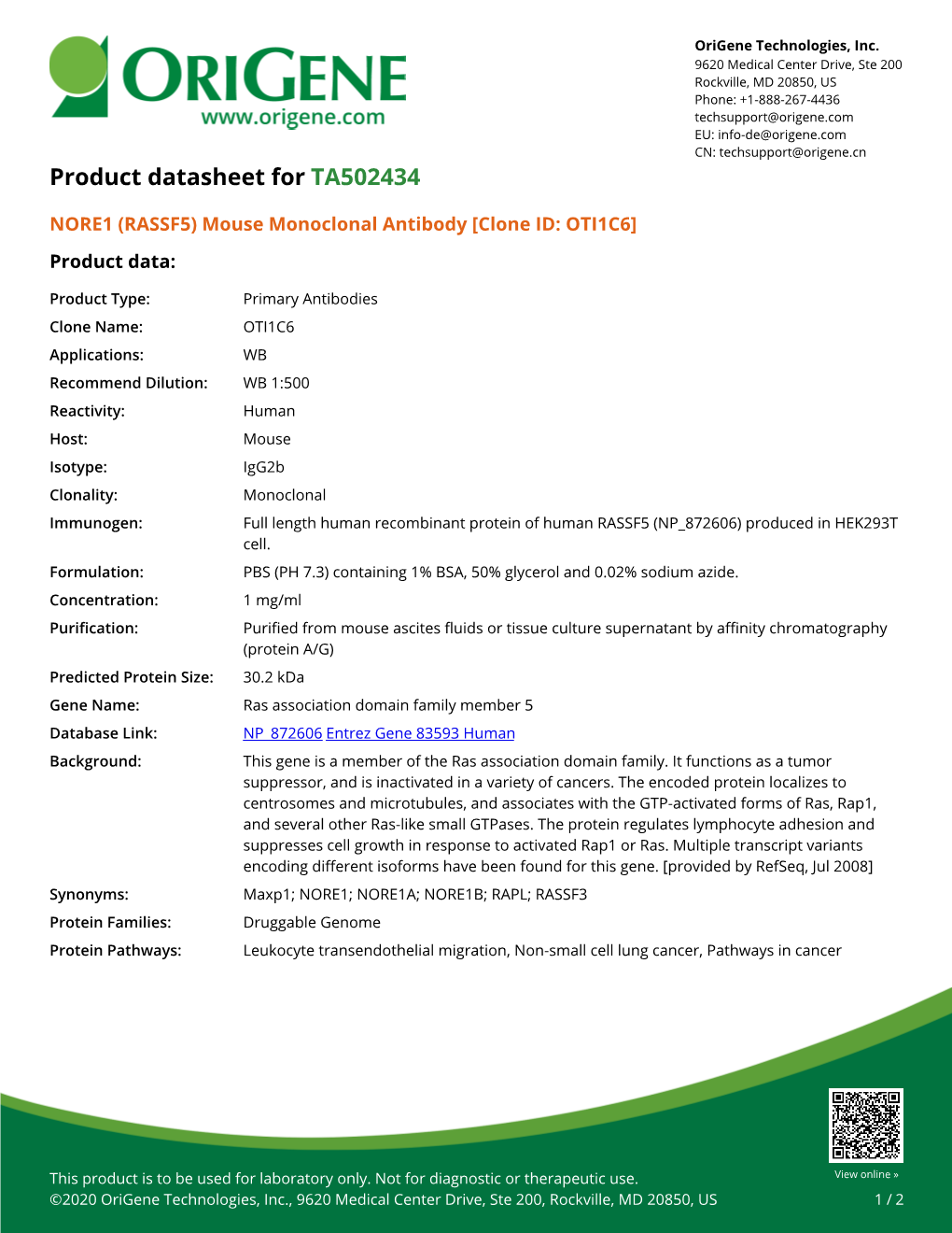 NORE1 (RASSF5) Mouse Monoclonal Antibody [Clone ID: OTI1C6] Product Data