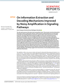 On Information Extraction and Decoding Mechanisms Improved By