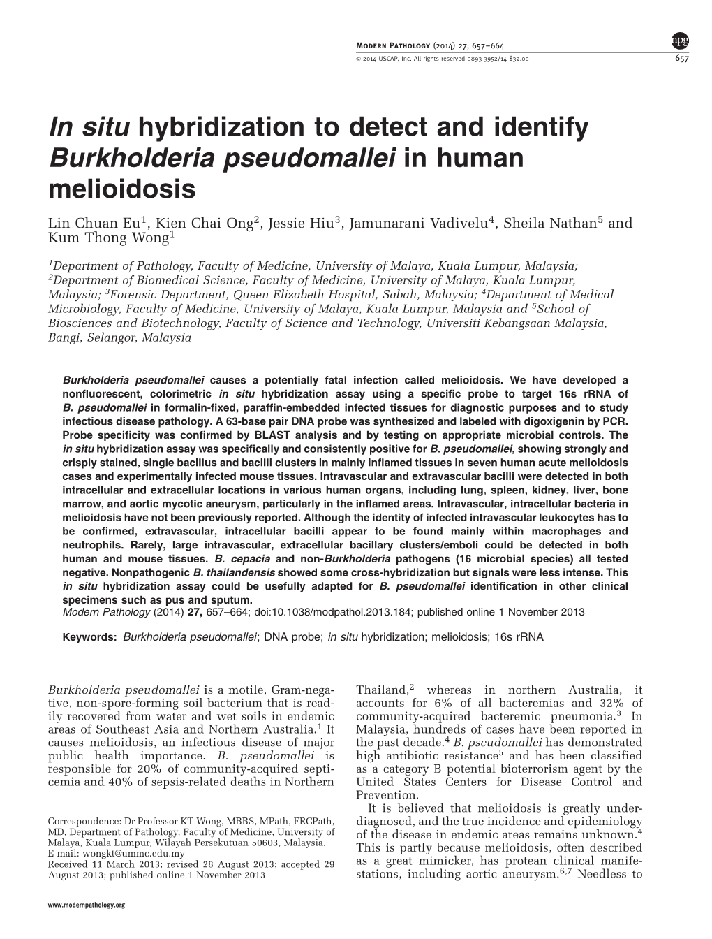 In Situ Hybridization to Detect and Identify Burkholderia Pseudomallei