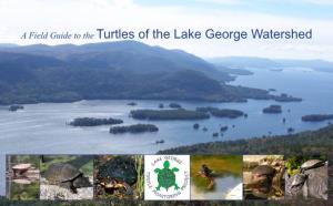 Field Guide to the Turtles of Lake George