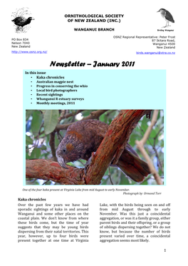 Newsletter Jan 2011