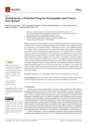 Tetrodotoxin, a Potential Drug for Neuropathic and Cancer Pain Relief?