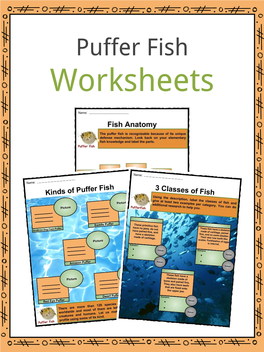 Worksheets Contents
