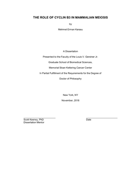 The Role of Cyclin B3 in Mammalian Meiosis