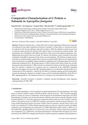 Comparative Characterization of G Protein Α Subunits in Aspergillus Fumigatus