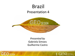 Brazil Presentation 4