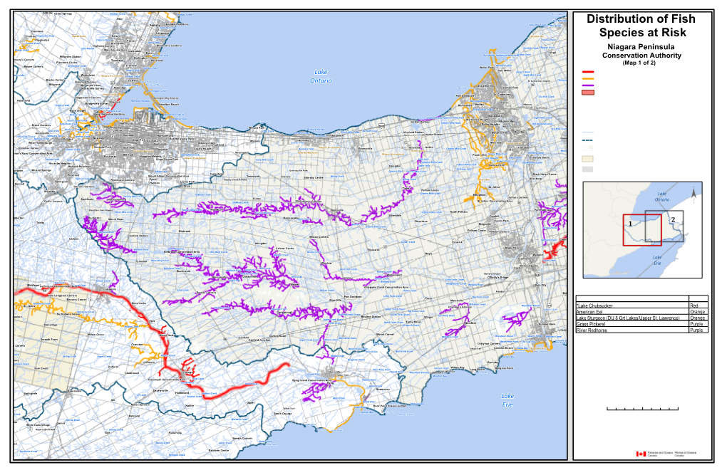 Distribution of Fish Species at Risk Niagara Peninsula