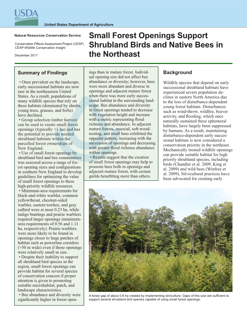 Small Forest Openings Support Shrubland Birds and Native Bees In