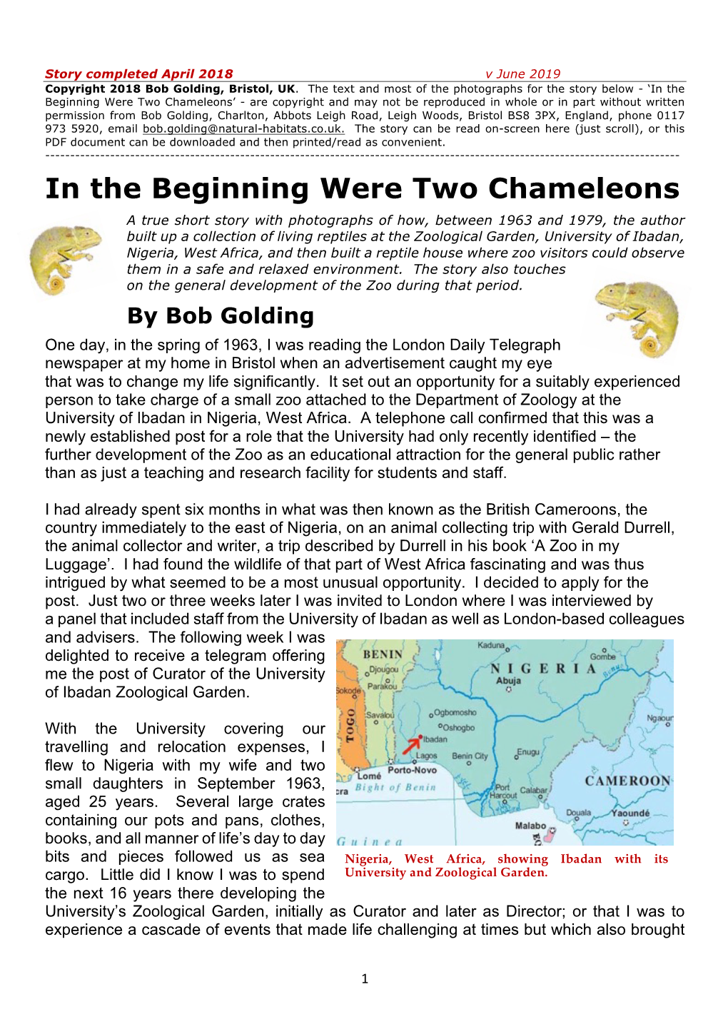 In the Beginning Were Two Chameleons