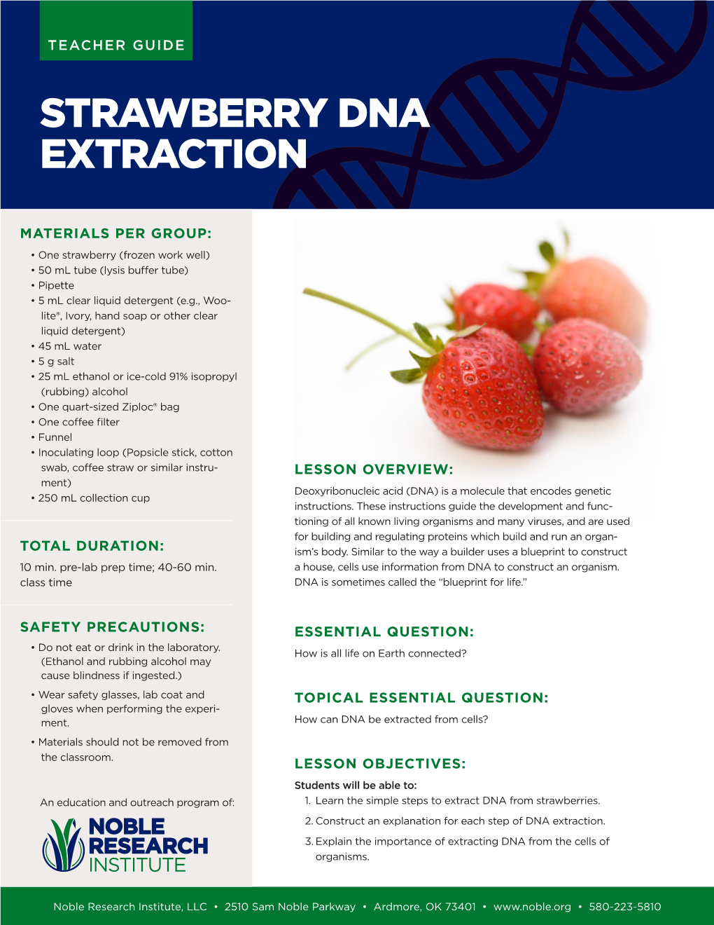 Strawberry Dna Extraction