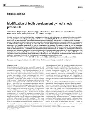 Modification of Tooth Development by Heat Shock Protein 60