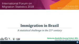 Immigration in Brazil a Statistical Challenge in the 21St Century
