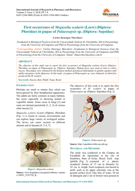 First Occurrence of Megaselia Scalaris (Loew) (Diptera: Phoridae) in Pupae of Palaeosepsis Sp