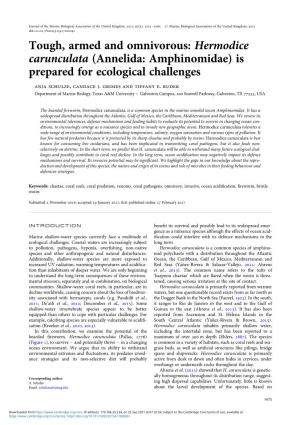 Hermodice Carunculata (Annelida: Amphinomidae) Is Prepared for Ecological Challenges Anja Schulze, Candace J